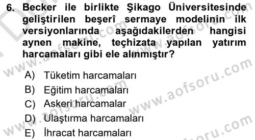 Çalışma Ekonomisi Dersi 2024 - 2025 Yılı (Final) Dönem Sonu Sınav Soruları 6. Soru
