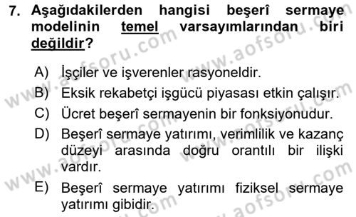 Çalışma Ekonomisi Dersi 2024 - 2025 Yılı (Final) Dönem Sonu Sınav Soruları 7. Soru