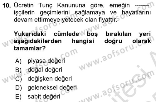 Çalışma Ekonomisi Dersi 2024 - 2025 Yılı Yaz Okulu Sınav Soruları 10. Soru
