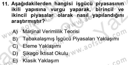 Çalışma Ekonomisi Dersi 2024 - 2025 Yılı Yaz Okulu Sınav Soruları 11. Soru