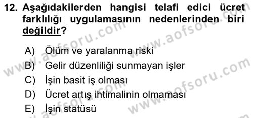 Çalışma Ekonomisi Dersi 2024 - 2025 Yılı Yaz Okulu Sınav Soruları 12. Soru