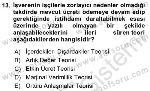 Çalışma Ekonomisi Dersi 2024 - 2025 Yılı Yaz Okulu Sınav Soruları 13. Soru