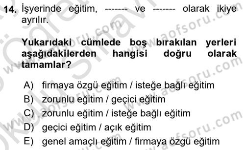 Çalışma Ekonomisi Dersi 2024 - 2025 Yılı Yaz Okulu Sınav Soruları 14. Soru