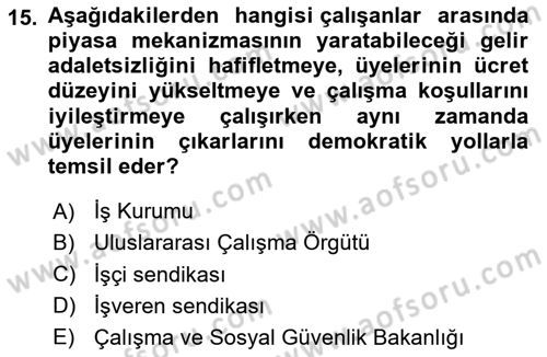 Çalışma Ekonomisi Dersi 2024 - 2025 Yılı Yaz Okulu Sınav Soruları 15. Soru