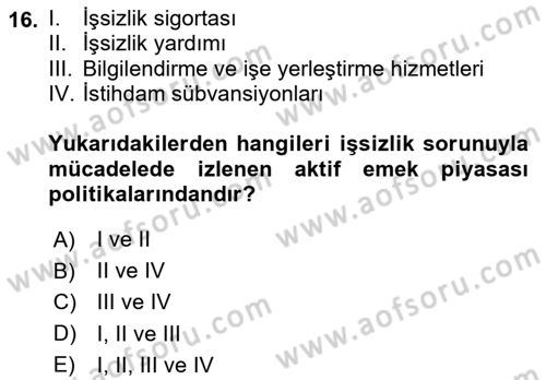Çalışma Ekonomisi Dersi 2024 - 2025 Yılı Yaz Okulu Sınav Soruları 16. Soru