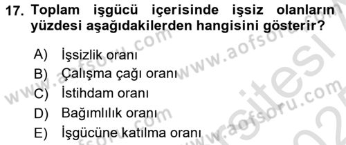 Çalışma Ekonomisi Dersi 2024 - 2025 Yılı Yaz Okulu Sınav Soruları 17. Soru