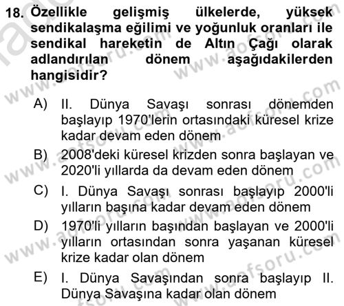 Çalışma Ekonomisi Dersi 2024 - 2025 Yılı Yaz Okulu Sınav Soruları 18. Soru