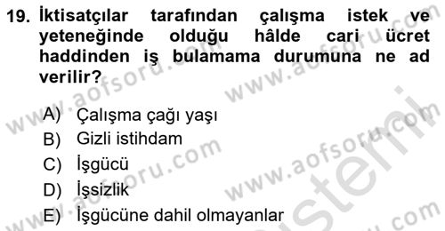 Çalışma Ekonomisi Dersi 2024 - 2025 Yılı Yaz Okulu Sınav Soruları 19. Soru