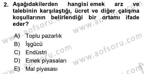 Çalışma Ekonomisi Dersi 2024 - 2025 Yılı Yaz Okulu Sınav Soruları 2. Soru