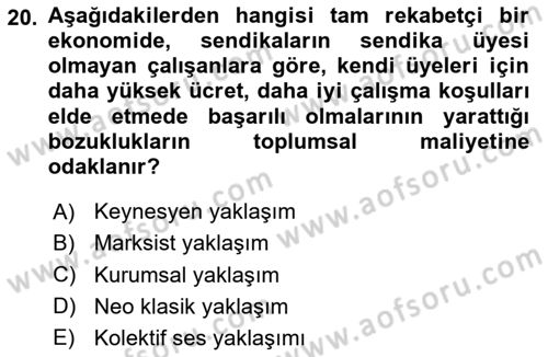 Çalışma Ekonomisi Dersi 2024 - 2025 Yılı Yaz Okulu Sınav Soruları 20. Soru