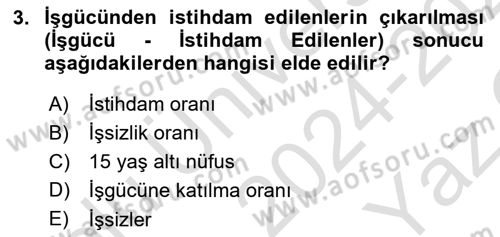 Çalışma Ekonomisi Dersi 2024 - 2025 Yılı Yaz Okulu Sınav Soruları 3. Soru