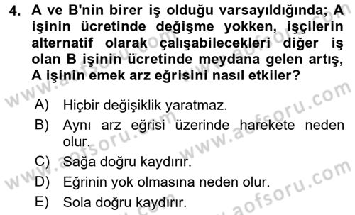 Çalışma Ekonomisi Dersi 2024 - 2025 Yılı Yaz Okulu Sınav Soruları 4. Soru
