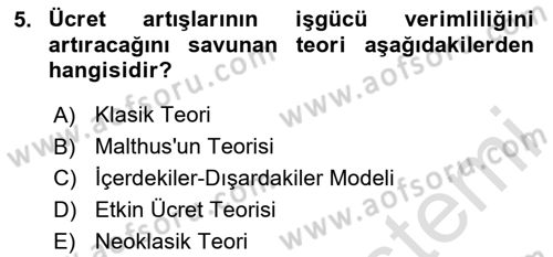 Çalışma Ekonomisi Dersi 2024 - 2025 Yılı Yaz Okulu Sınav Soruları 5. Soru