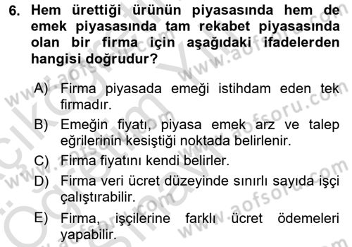 Çalışma Ekonomisi Dersi 2024 - 2025 Yılı Yaz Okulu Sınav Soruları 6. Soru