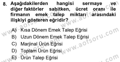 Çalışma Ekonomisi Dersi 2024 - 2025 Yılı Yaz Okulu Sınav Soruları 8. Soru