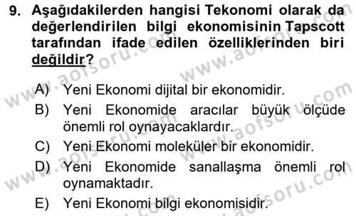 Çalışma Ekonomisi Dersi 2024 - 2025 Yılı Yaz Okulu Sınav Soruları 9. Soru