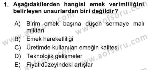 Çalışma Ekonomisi Dersi 2025 - 2026 Yılı (Vize) Ara Sınav Soruları 1. Soru