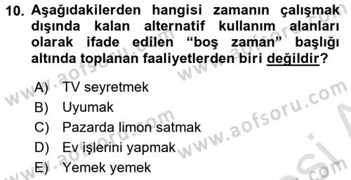 Çalışma Ekonomisi Dersi 2025 - 2026 Yılı (Vize) Ara Sınav Soruları 10. Soru