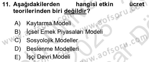 Çalışma Ekonomisi Dersi 2025 - 2026 Yılı (Vize) Ara Sınav Soruları 11. Soru