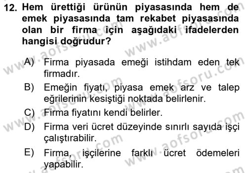 Çalışma Ekonomisi Dersi 2025 - 2026 Yılı (Vize) Ara Sınav Soruları 12. Soru