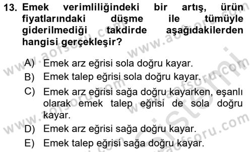 Çalışma Ekonomisi Dersi 2025 - 2026 Yılı (Vize) Ara Sınav Soruları 13. Soru