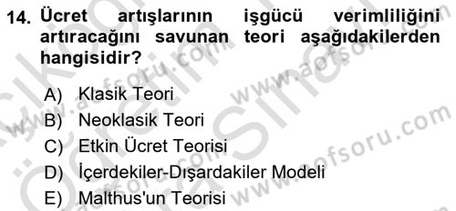 Çalışma Ekonomisi Dersi 2025 - 2026 Yılı (Vize) Ara Sınav Soruları 14. Soru