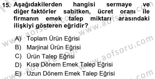 Çalışma Ekonomisi Dersi 2025 - 2026 Yılı (Vize) Ara Sınav Soruları 15. Soru