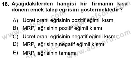 Çalışma Ekonomisi Dersi 2025 - 2026 Yılı (Vize) Ara Sınav Soruları 16. Soru