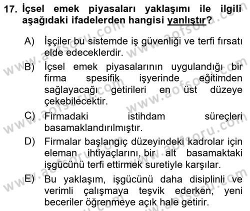 Çalışma Ekonomisi Dersi 2025 - 2026 Yılı (Vize) Ara Sınav Soruları 17. Soru