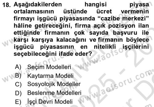 Çalışma Ekonomisi Dersi 2025 - 2026 Yılı (Vize) Ara Sınav Soruları 18. Soru