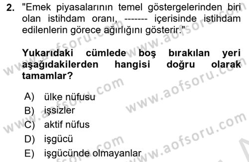 Çalışma Ekonomisi Dersi 2025 - 2026 Yılı (Vize) Ara Sınav Soruları 2. Soru