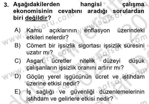 Çalışma Ekonomisi Dersi 2025 - 2026 Yılı (Vize) Ara Sınav Soruları 3. Soru