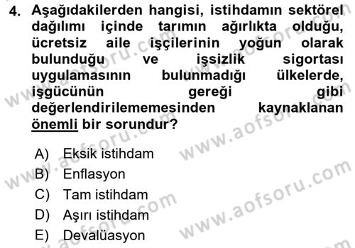 Çalışma Ekonomisi Dersi 2025 - 2026 Yılı (Vize) Ara Sınav Soruları 4. Soru