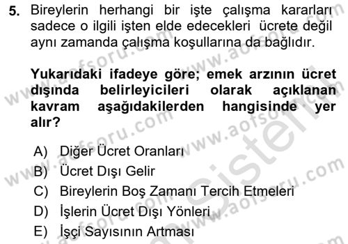 Çalışma Ekonomisi Dersi 2025 - 2026 Yılı (Vize) Ara Sınav Soruları 5. Soru