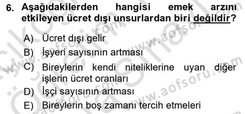 Çalışma Ekonomisi Dersi 2025 - 2026 Yılı (Vize) Ara Sınav Soruları 6. Soru