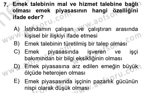 Çalışma Ekonomisi Dersi 2025 - 2026 Yılı (Vize) Ara Sınav Soruları 7. Soru