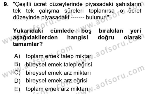 Çalışma Ekonomisi Dersi 2025 - 2026 Yılı (Vize) Ara Sınav Soruları 9. Soru