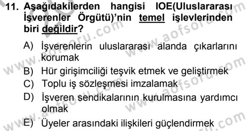 Endüstri İlişkileri Dersi Ara Sınavı Deneme Sınav Soruları 11. Soru