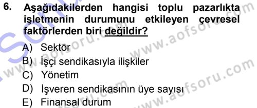 Endüstri İlişkileri Dersi 2012 - 2013 Yılı (Final) Dönem Sonu Sınav Soruları 6. Soru