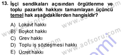 Endüstri İlişkileri Dersi Ara Sınavı Deneme Sınav Soruları 13. Soru