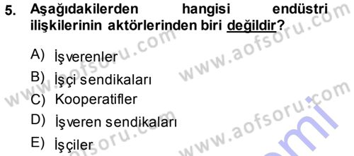 Endüstri İlişkileri Dersi 2013 - 2014 Yılı (Vize) Ara Sınav Soruları 5. Soru