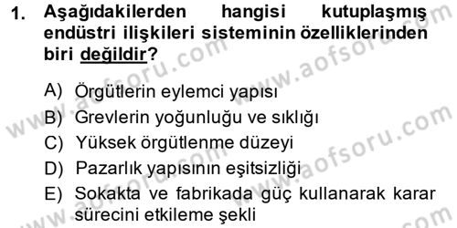 Endüstri İlişkileri Dersi Ara Sınavı Deneme Sınav Soruları 1. Soru