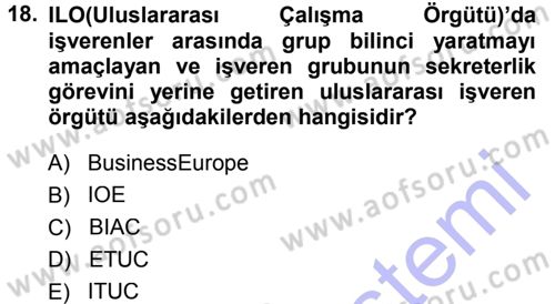 Endüstri İlişkileri Dersi 2014 - 2015 Yılı (Vize) Ara Sınav Soruları 18. Soru