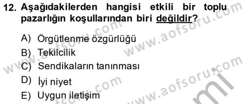 Endüstri İlişkileri Dersi 2014 - 2015 Yılı (Final) Dönem Sonu Sınav Soruları 12. Soru