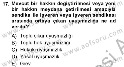 Endüstri İlişkileri Dersi 2014 - 2015 Yılı (Final) Dönem Sonu Sınav Soruları 17. Soru