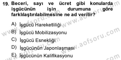 Endüstri İlişkileri Dersi 2014 - 2015 Yılı (Final) Dönem Sonu Sınav Soruları 19. Soru