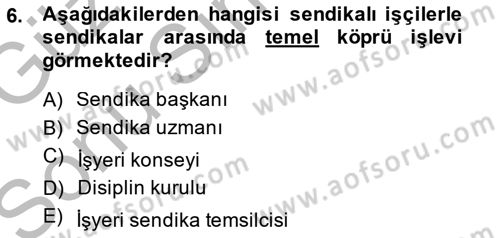 Endüstri İlişkileri Dersi 2014 - 2015 Yılı (Final) Dönem Sonu Sınav Soruları 6. Soru