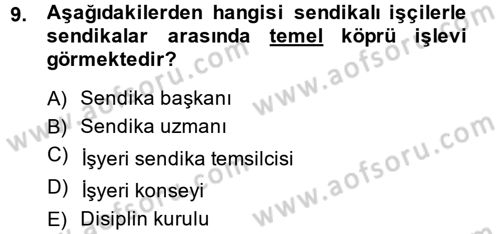 Endüstri İlişkileri Dersi 2014 - 2015 Yılı Tek Ders Sınav Soruları 9. Soru