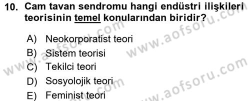 Endüstri İlişkileri Dersi Ara Sınavı Deneme Sınav Soruları 10. Soru
