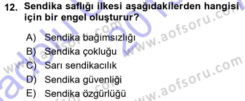 Endüstri İlişkileri Dersi Ara Sınavı Deneme Sınav Soruları 12. Soru